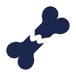 Bone Crack SVG Icon
